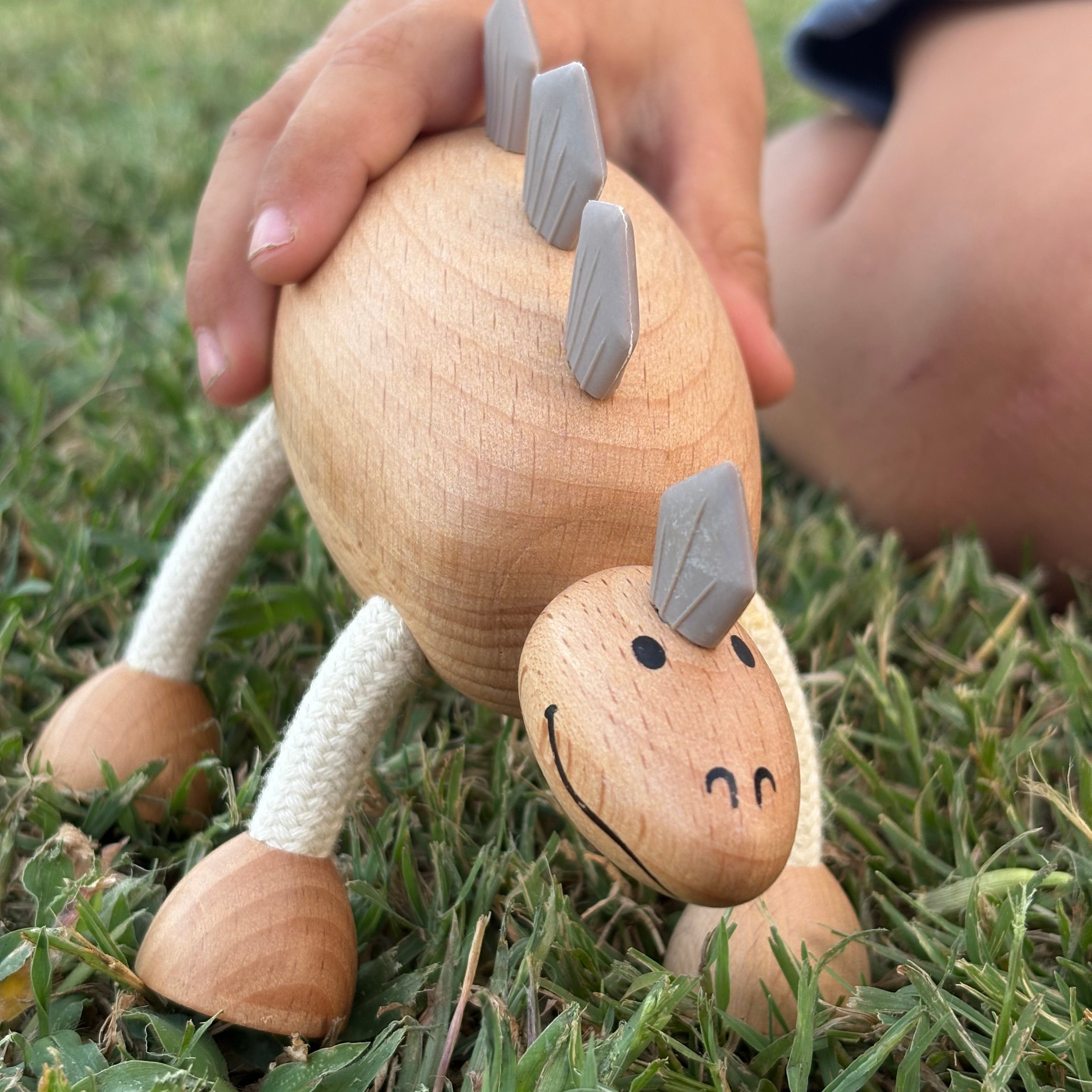 Role Play Toys